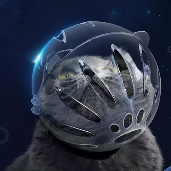 Cat Muzzle,Cat Clear Helmet, Breathable Cat Hood,Adjustable Cat Mouth Cover Grooming Face Mask for Preventing Cats Biting Chewing, Transparent Muzzle for Kittens and Adult Cats