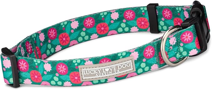 Lucky Love Dog Collar, Stripes Pattern Dog Collar for Tiny Dogs, Comfortable & Soft Dog Collars, Penny, XSâŚ
