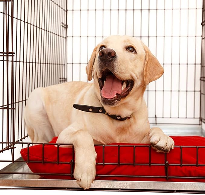 KOPEKS - Heavy Duty Multipurpose Replacement Metal Tray - Galvanized - Rust & Crack Proof - Several for Pet Crates, Grease Trap and Others (23.5 x 17.5 Inches, Metal Tray)