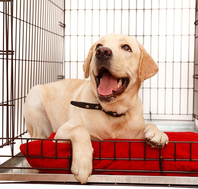 KOPEKS - Heavy Duty Multipurpose Replacement Metal Tray - Galvanized - Rust & Crack Proof - Several for Pet Crates, Grease Trap and Others