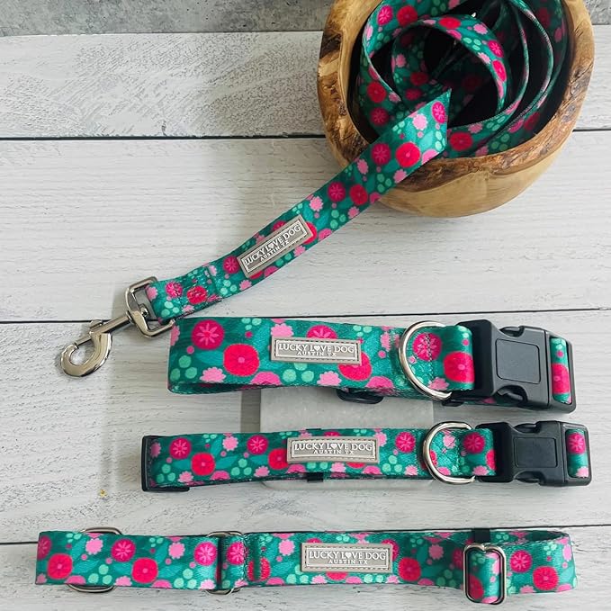 Lucky Love Dog Collar, Stripes Pattern Dog Collar for Tiny Dogs, Comfortable & Soft Dog Collars, Penny, XSâŚ