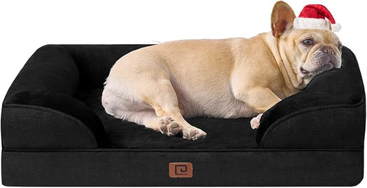 How to Choose the Right Pet Food in the U.S.: What Every Pet Owner Should Know