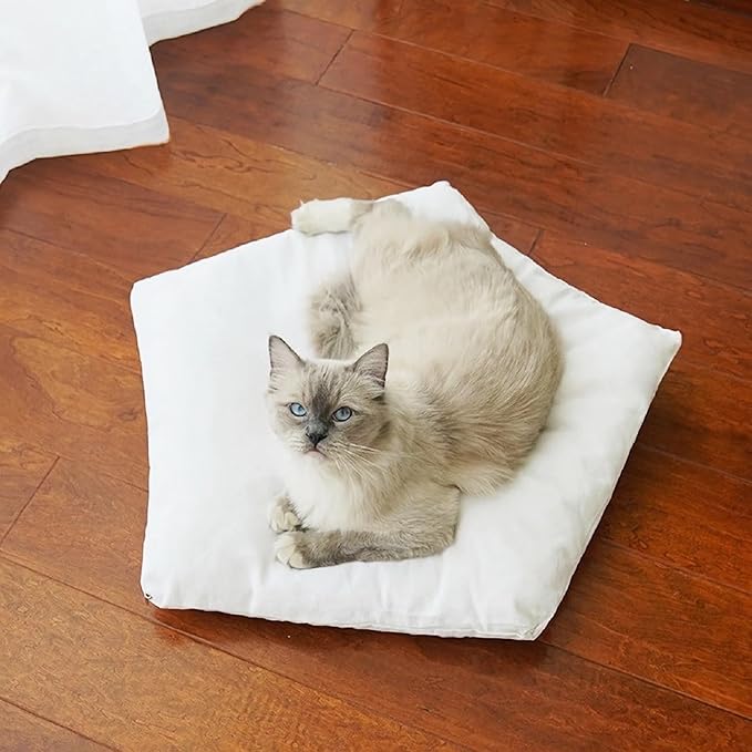 Dog and Cat Teepee Tent Bed - Portable Indoor Pet House for Small Dogs With Cozy Cushion - Removable & Washable - Bunny Tent Outdoor (White Lace, M)